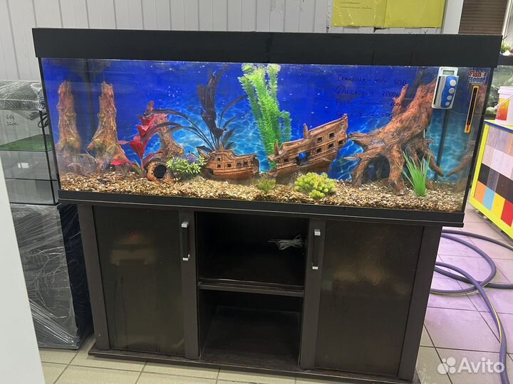 Продажа аквариумов, рыбок, оборудование