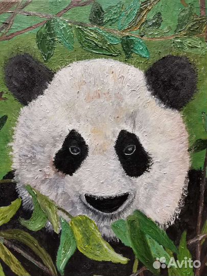 Панда обыкновенная