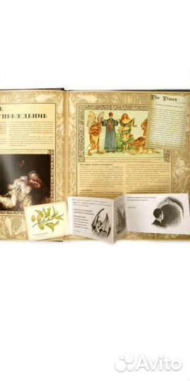 Книга Вампирология