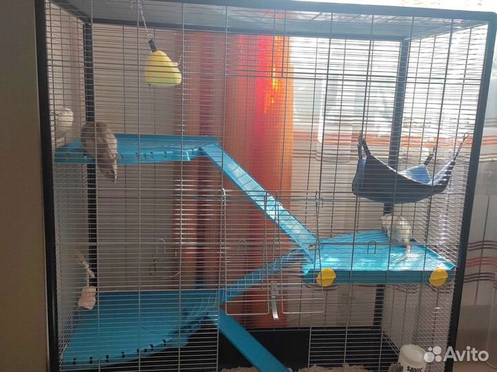Клетка для грызунов Savic