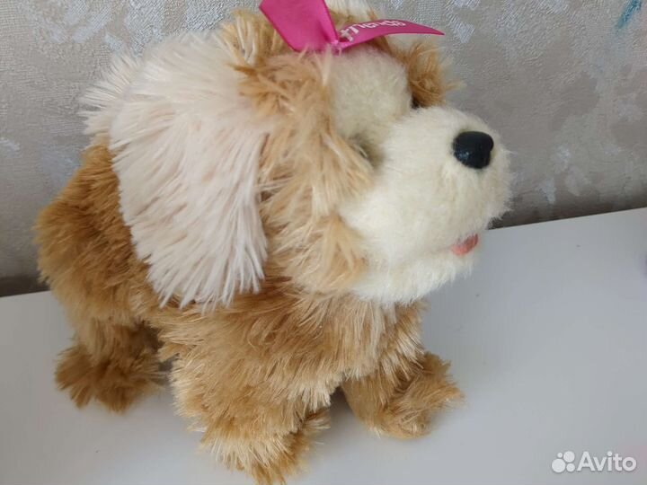 Интерактивная собака