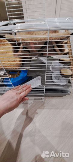 Клетка для хомячка