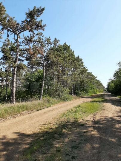 Дом 62 м² на участке 5 сот.