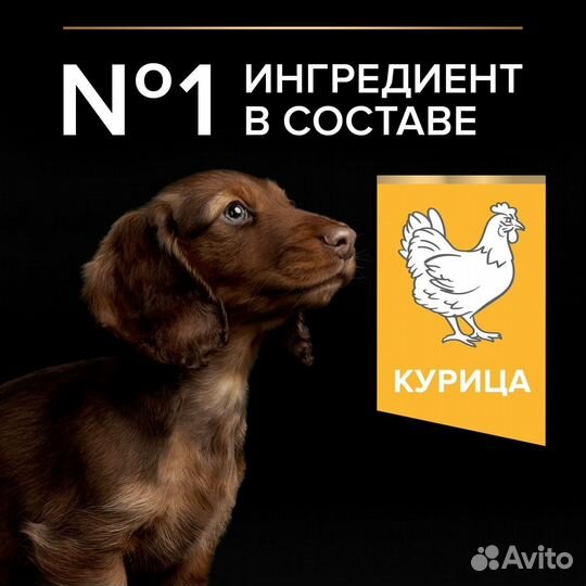 Purina Pro Plan для щенков мелких и карликовых пор