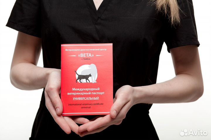 Стерилизация и кастрация животных