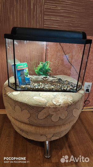 Аквариум