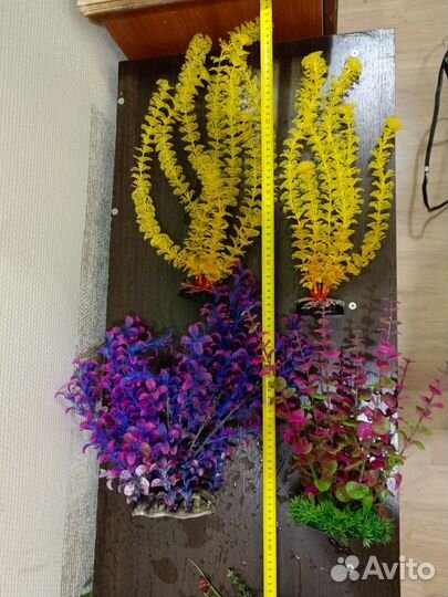 Аквариумные водоросли, аквариумный грунт