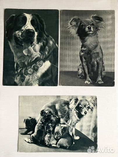 Винтажные открытки