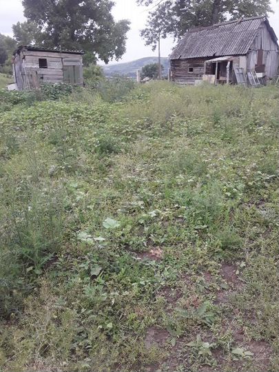 Участок 15 сот. (ИЖС)