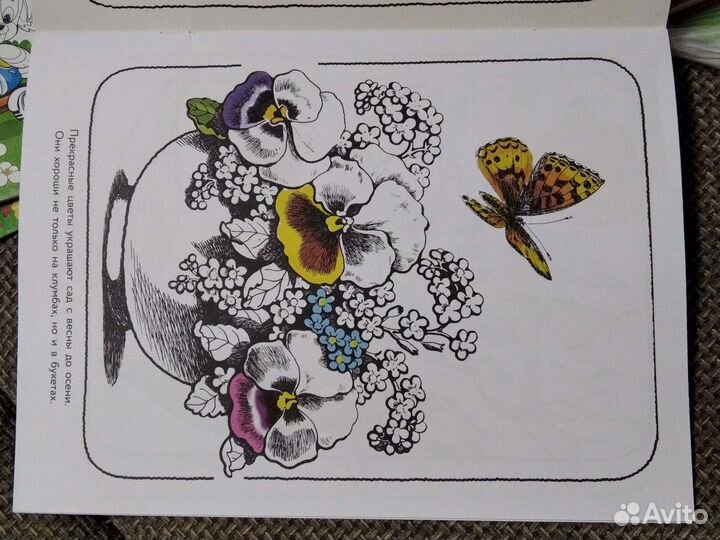 Альбом для раскрашивания. Цветы из сада