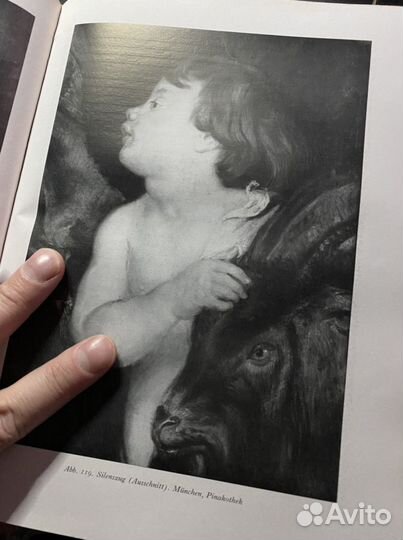 Книга Рубенс
