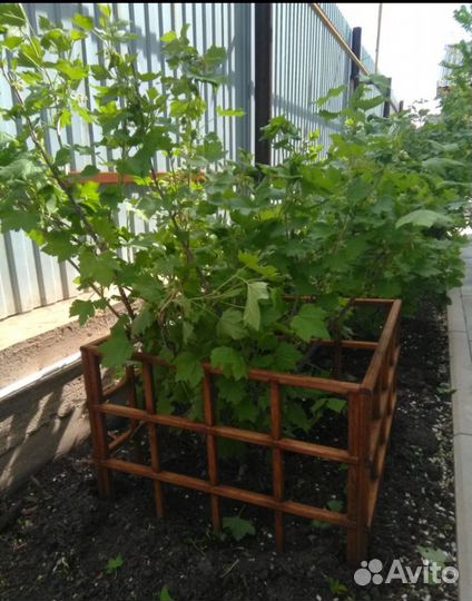 Держатель вазон кашпо кустодержатель