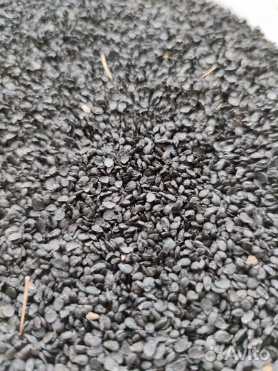 Джусай семена