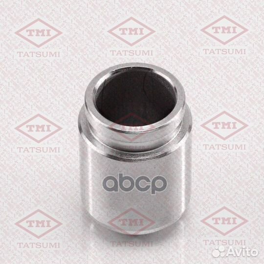 Поршень переднего тормозного суппорта TCG1009 T