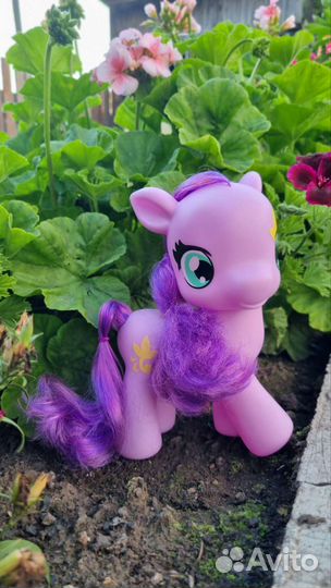 Пони для вашей принцессы My Little Pony