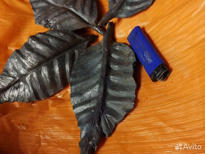 Листья ясеня