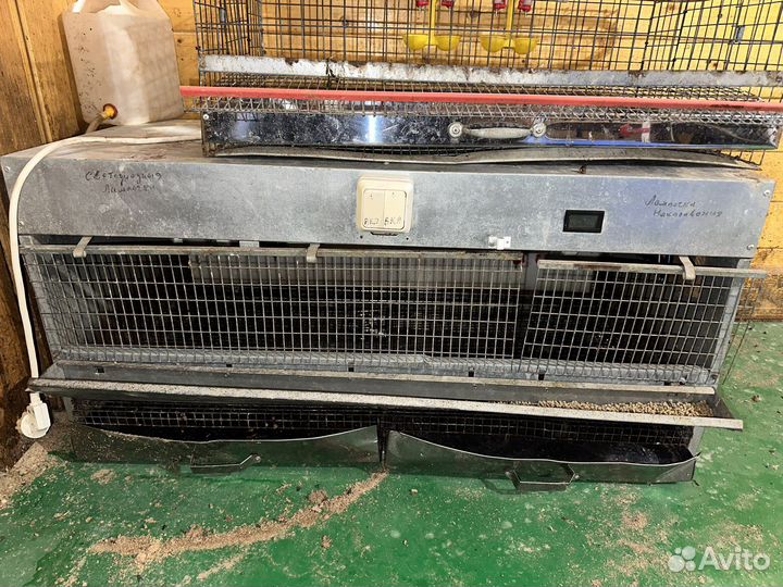 Брудер для цыплят, клетка для перепелов