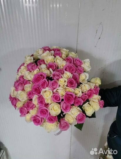 Букет цветов. Розы 101 шт