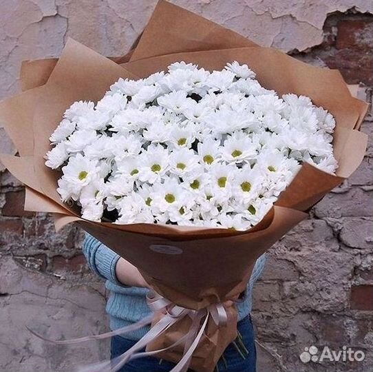 Хризантема