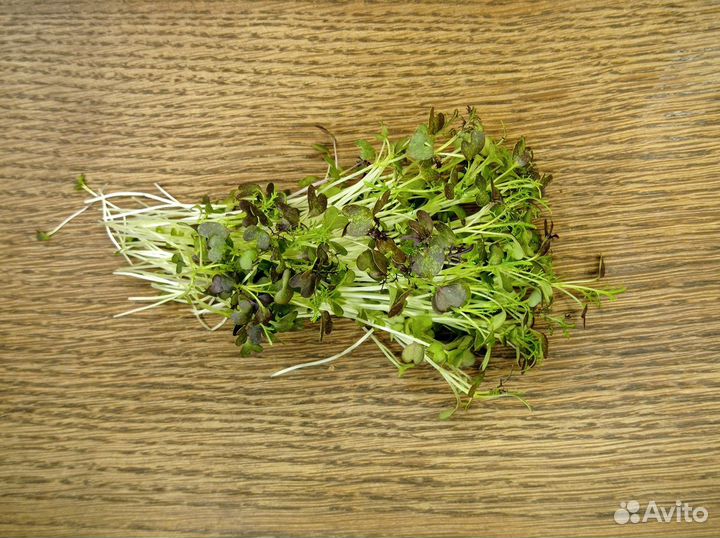 Микрозелень мизуна