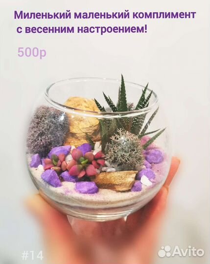 Флорариум мини