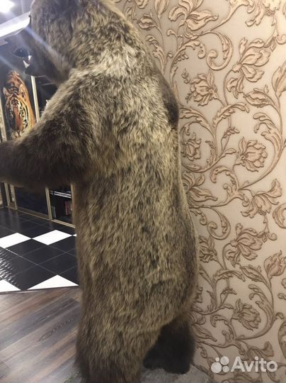 Продам мишаню