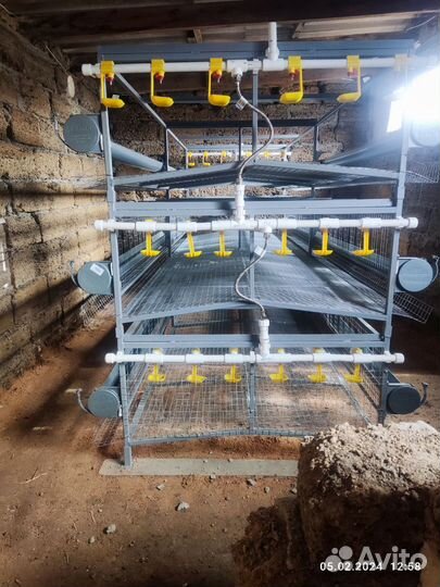 Клетки для кур несушек