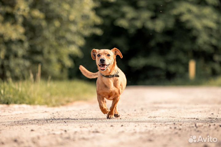 Малыш Ингар в добрые руки