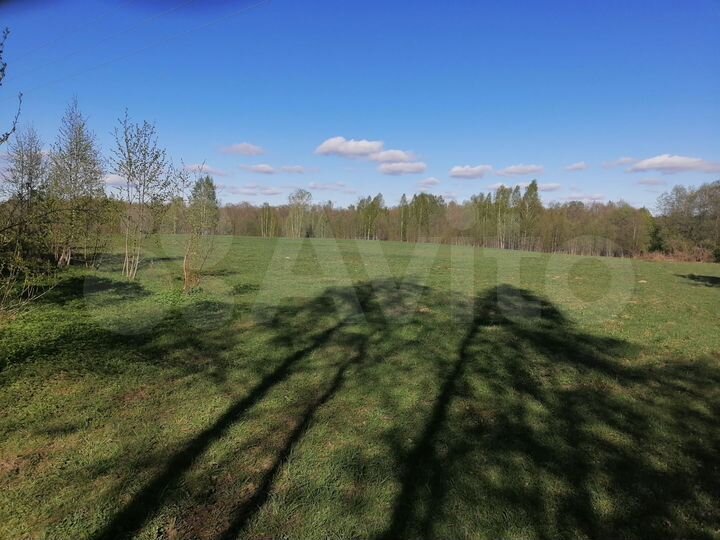 Участок 30 га (СНТ, ДНП)