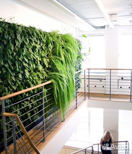 Озеленение и благоустройство помещений