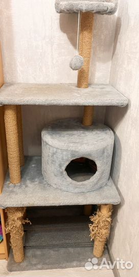 Большой кошачий дом