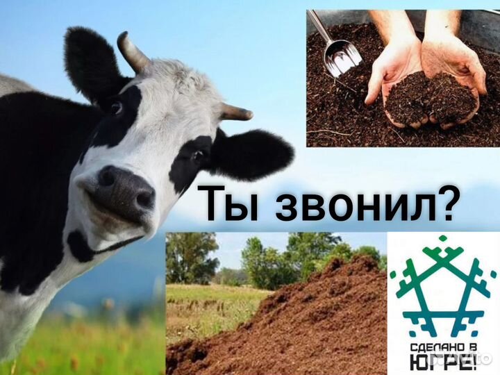 Навоз коровий. Удобрение. Чернозем/Перегной