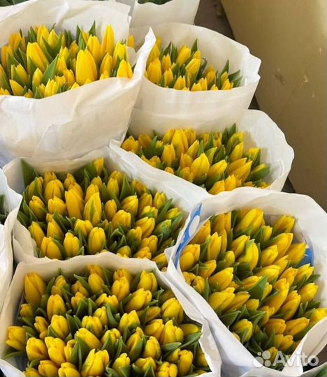 Цветы на 8 марта