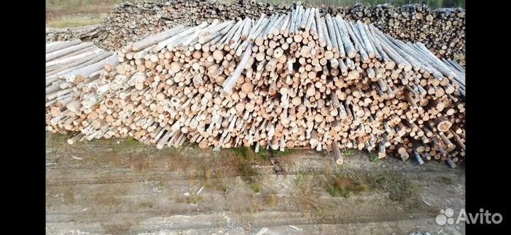 Лежневка, кругляк