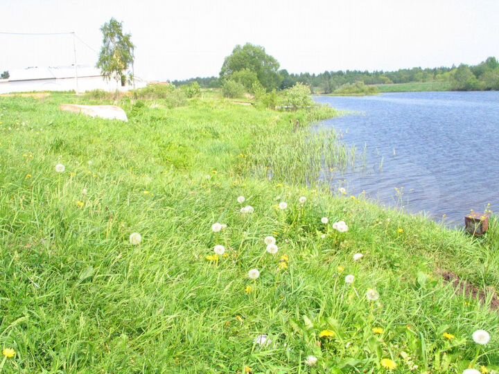 Участок 15 сот. (ИЖС)