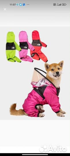 Куртка для собак