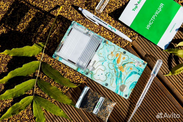 Муравьиная ферма