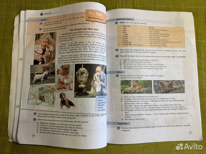 Forward 6 класс 1 часть