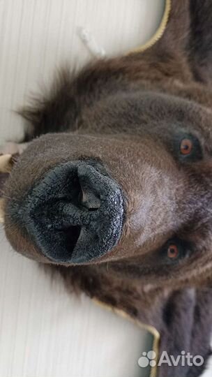 Шкура медведя имитация