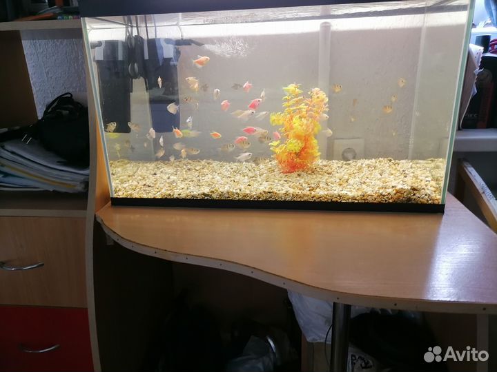 Аквариум