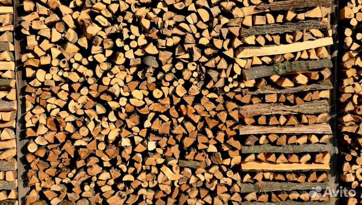 Дрова в тот же день