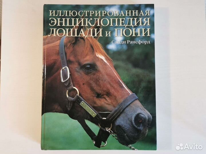 Детская энциклопедия лошади и пони