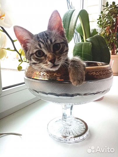 Ваза винтажная