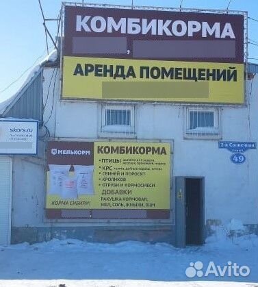 Ракушка кормовая серая