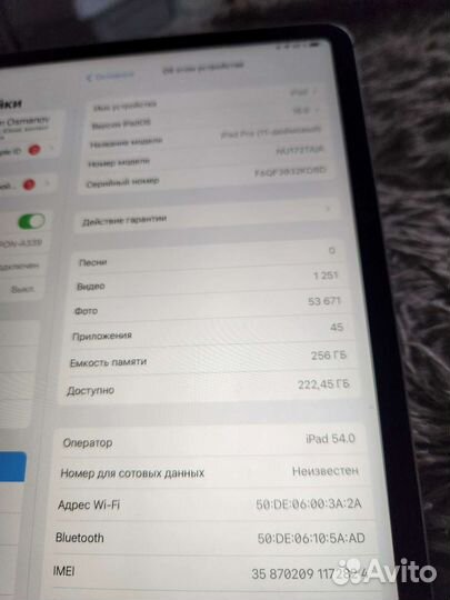 iPad Pro 11 256Gb Lte