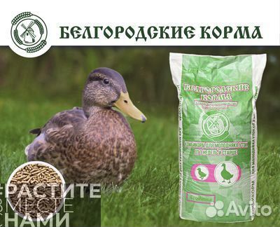 Комбикорм для уток