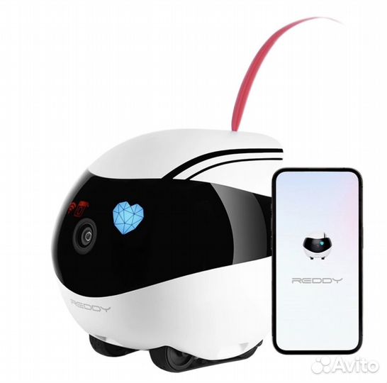 Reddy Air - робот для ваших питомцев, и радионяня
