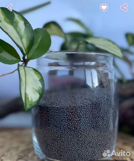 Грунт пропант для аквариума, рыбки