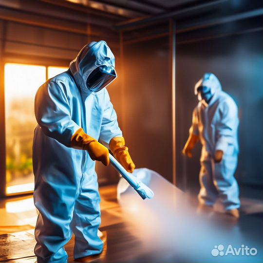 Уничтожение клопов, травить тараканов. Дезинсекция