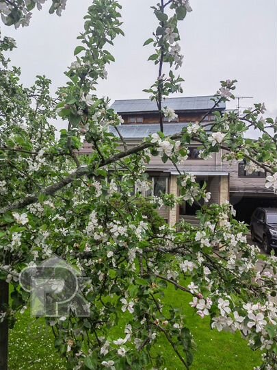 Дом 287 м² на участке 12 сот.